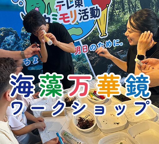 テレ東SDGsパークに出展。「森」と「海の森」の大切さを学ぶ展示と、海藻万華鏡のワークショップを実施。