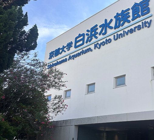海は今どのような状況？身近な海を楽しく学べる京都大学白浜水族館を見学
