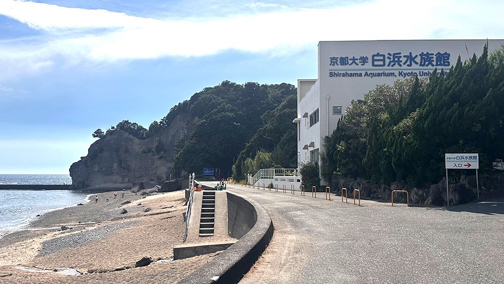 海は今どのような状況？身近な海を楽しく学べる京都大学白浜水族館を見学