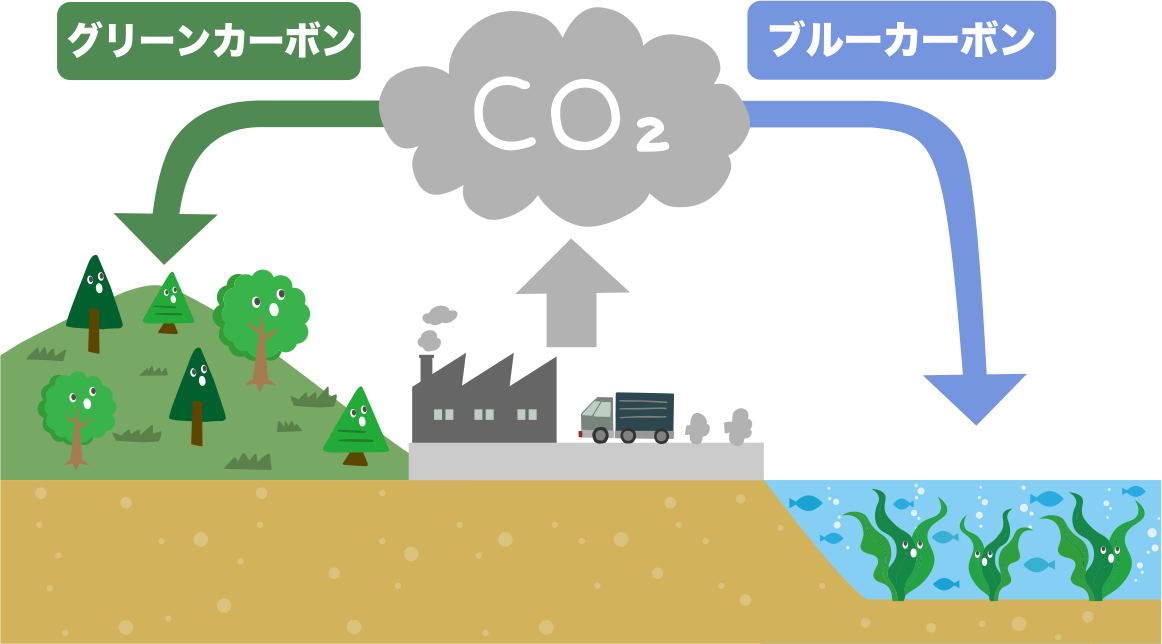 海の森プロジェクト、テレ東と海の森を作ろうプロジェクト