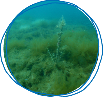 長崎県  五島列島