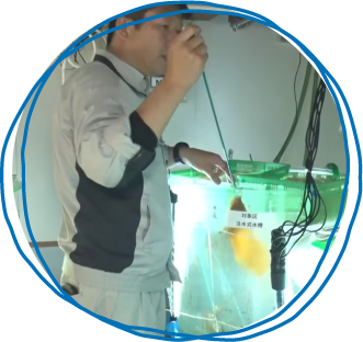 島根県　隠岐諸島