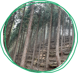 東京都  奥多摩