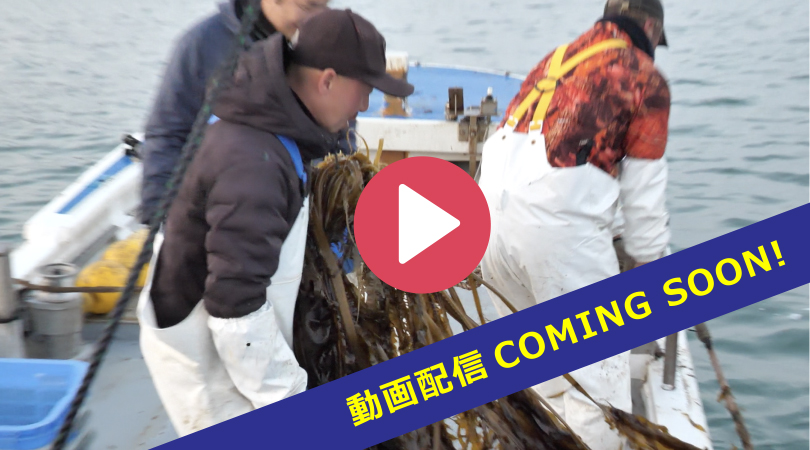 動画配信