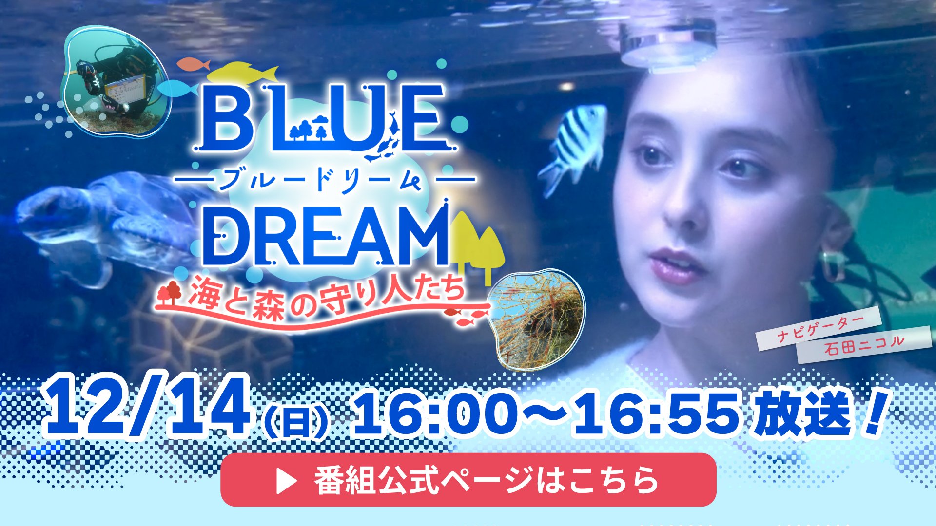 BLUE DREAM 海と森の守り人たち 番組公式ページはこちら