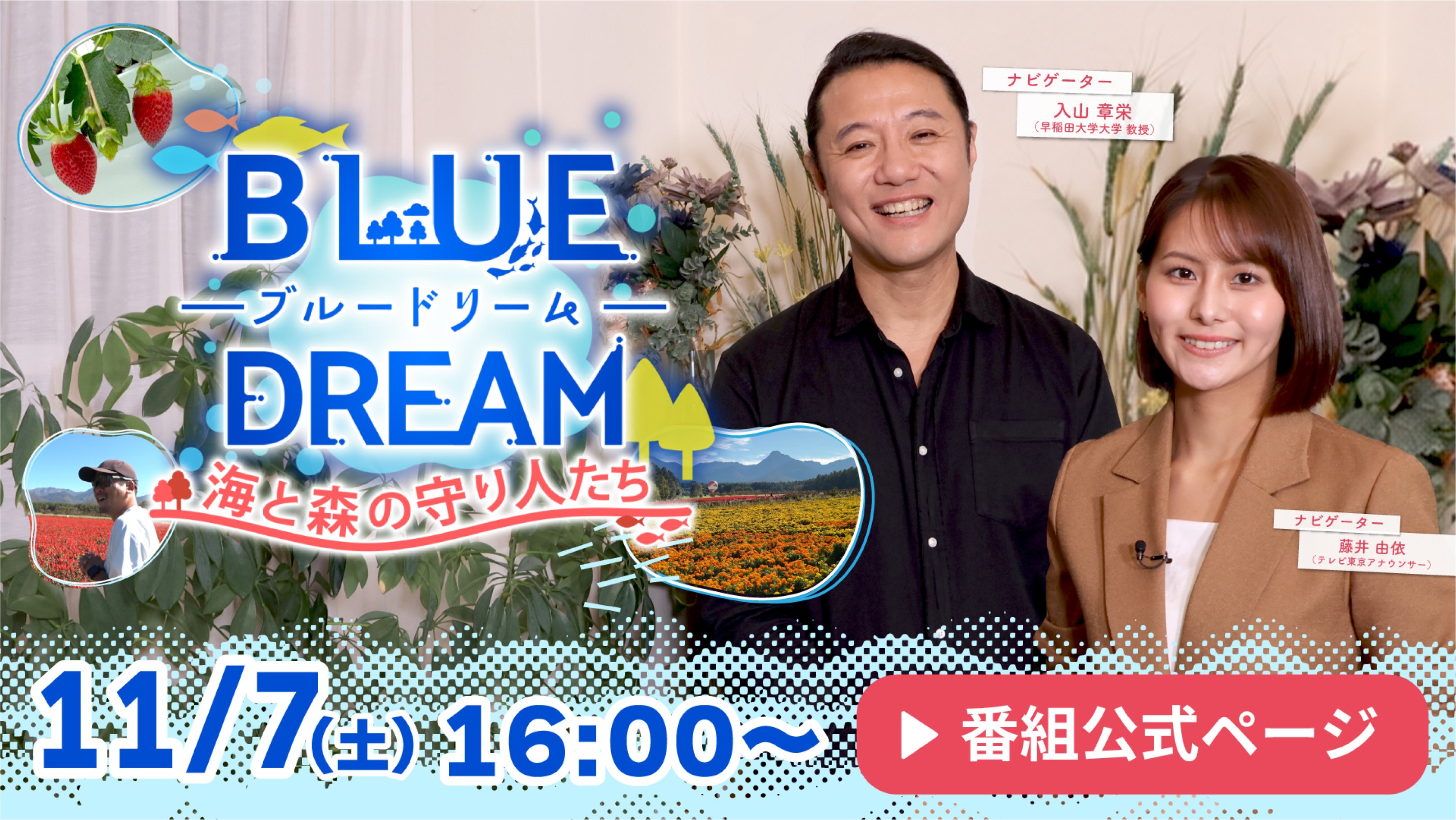 11/7（土）16:00〜 BLUE DREAM 海と森の守り人たち 番組公式ページはこちら