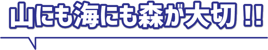 山にも海にも森が大切！